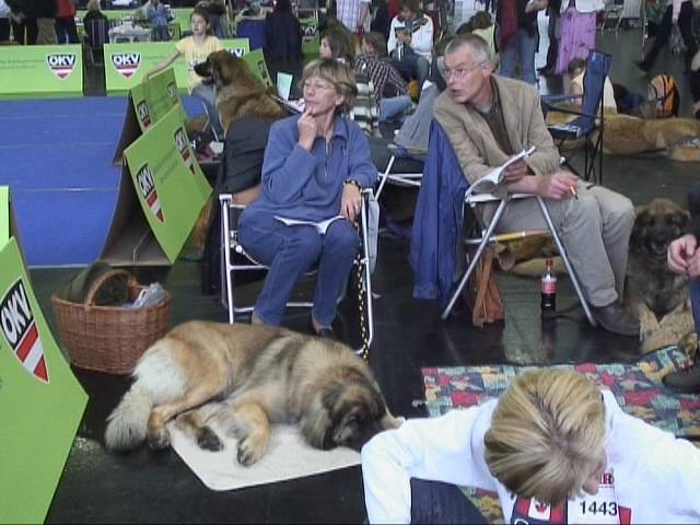 Salzburg Clubschau Mai 06 233 